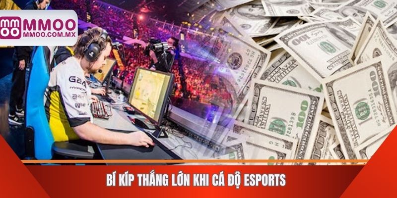 Bí kíp thắng lớn khi cá độ Esports