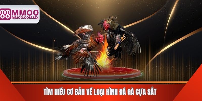 Tìm hiểu cơ bản về loại hình đá gà cựa sắt